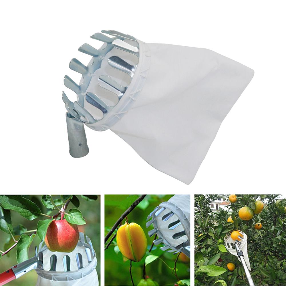 Gardening Tools Long - Vườn Tỉa Hoa Quả Chọn Làm