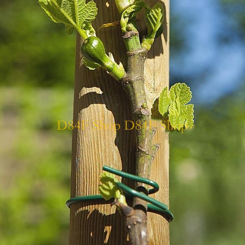 Garden Wire Twist Tie - D84F 2.5mmx10m Màu xanh lá cây