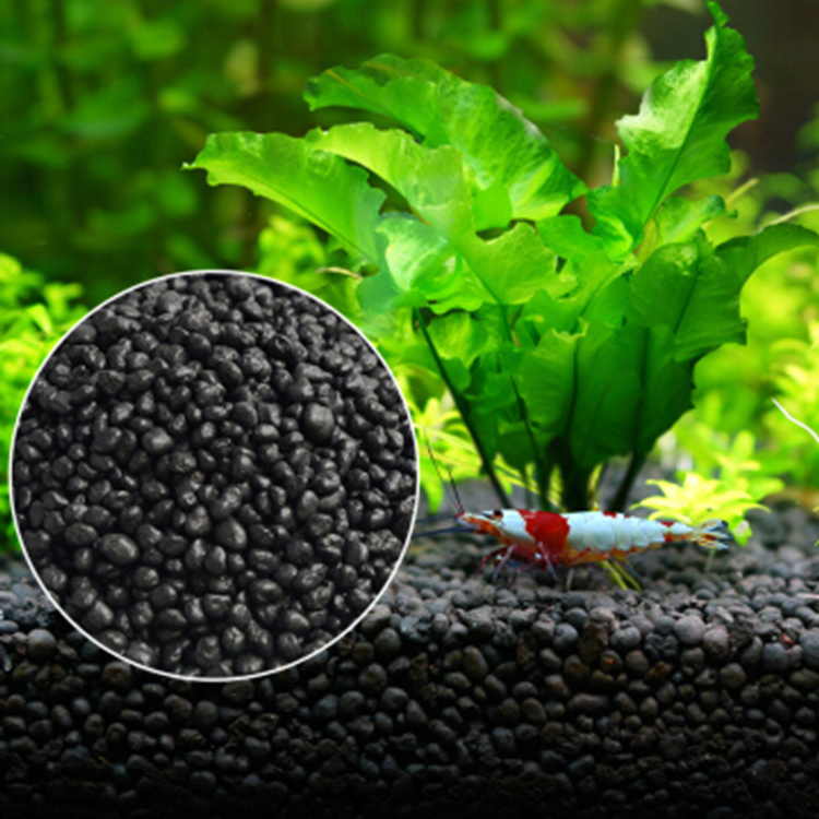 Aquaponics Fish Tank - Bể Cá Cảnh Vật Có Hạt