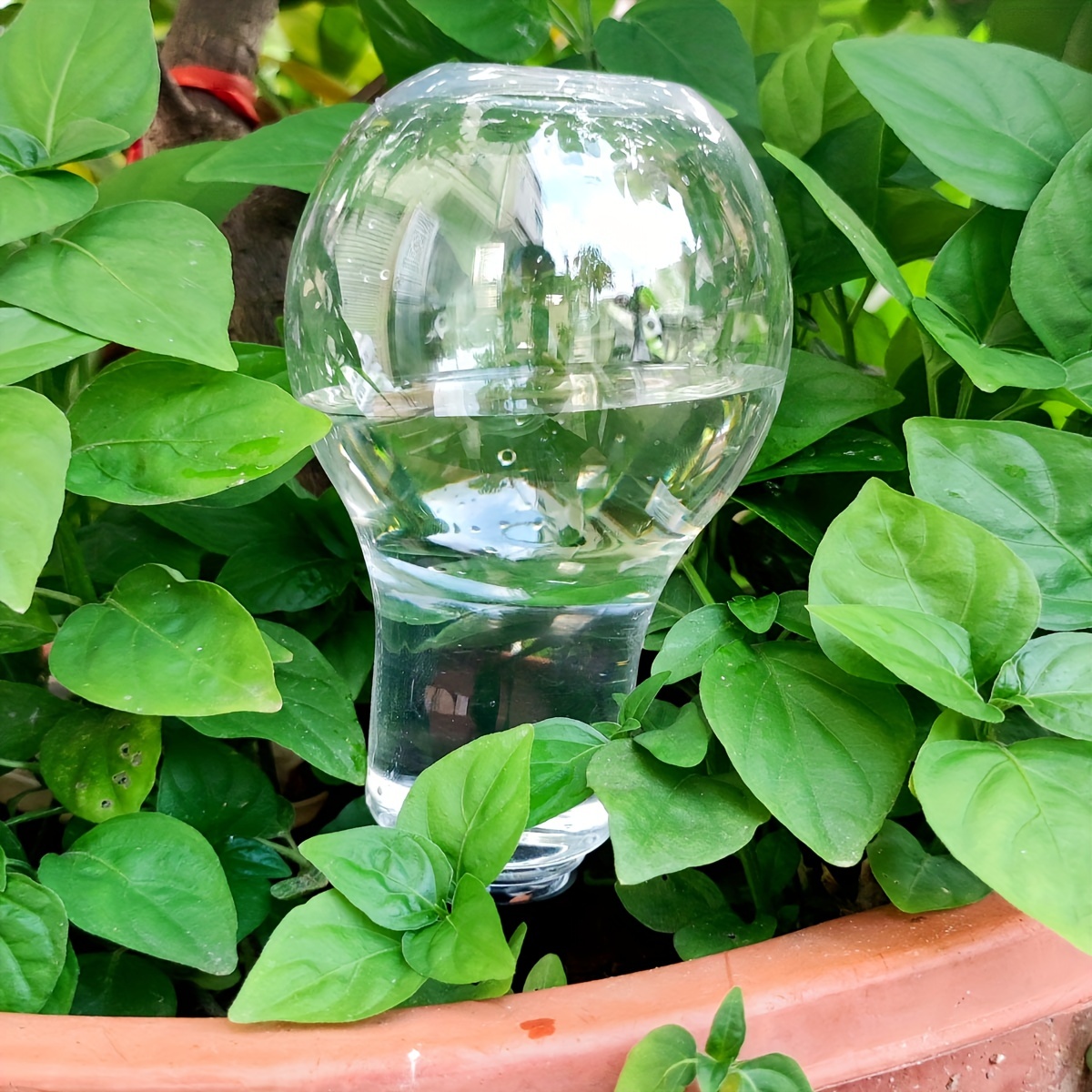 Garden Automatic Watering Tool - đánh giá và giá Gardening Tool Diy