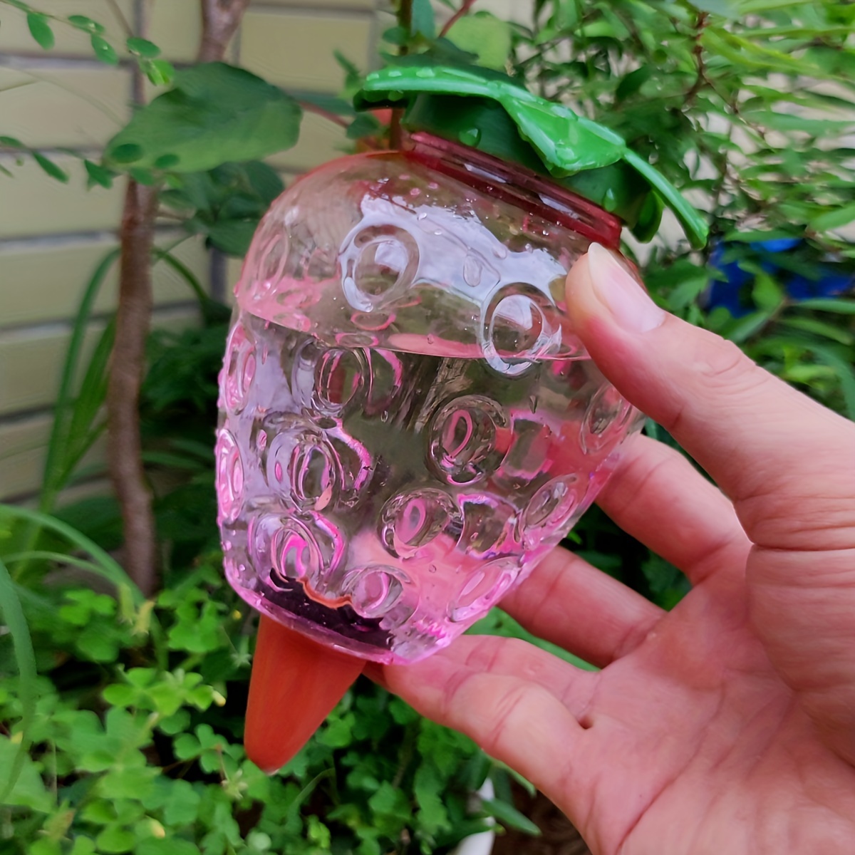 2 Pcs Automatic Watering Tool  - đánh giá và giá Gardening Tools For Home