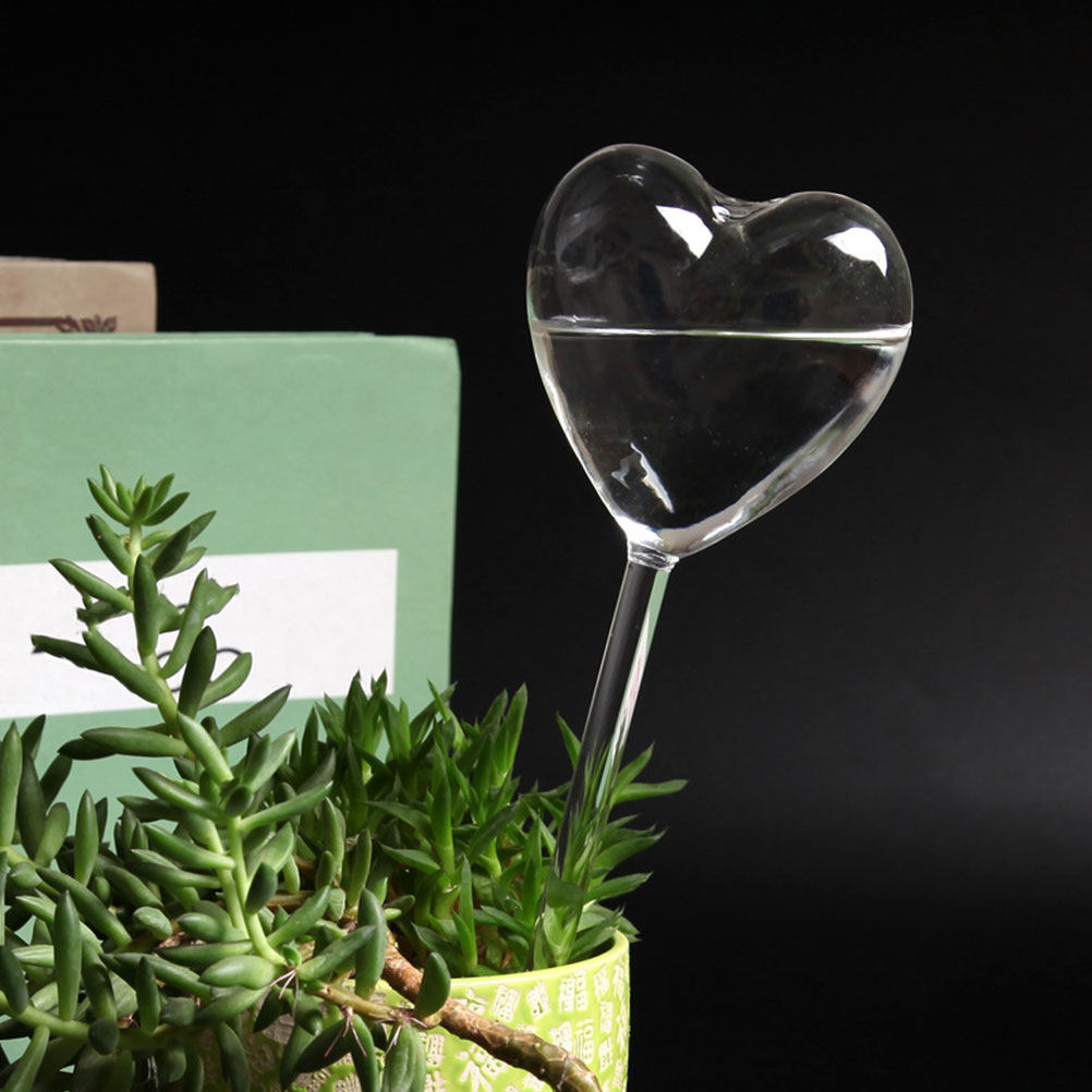 3Pcs Heart Shaped Glass Self W - đánh giá và giá Gardening Tools For Home