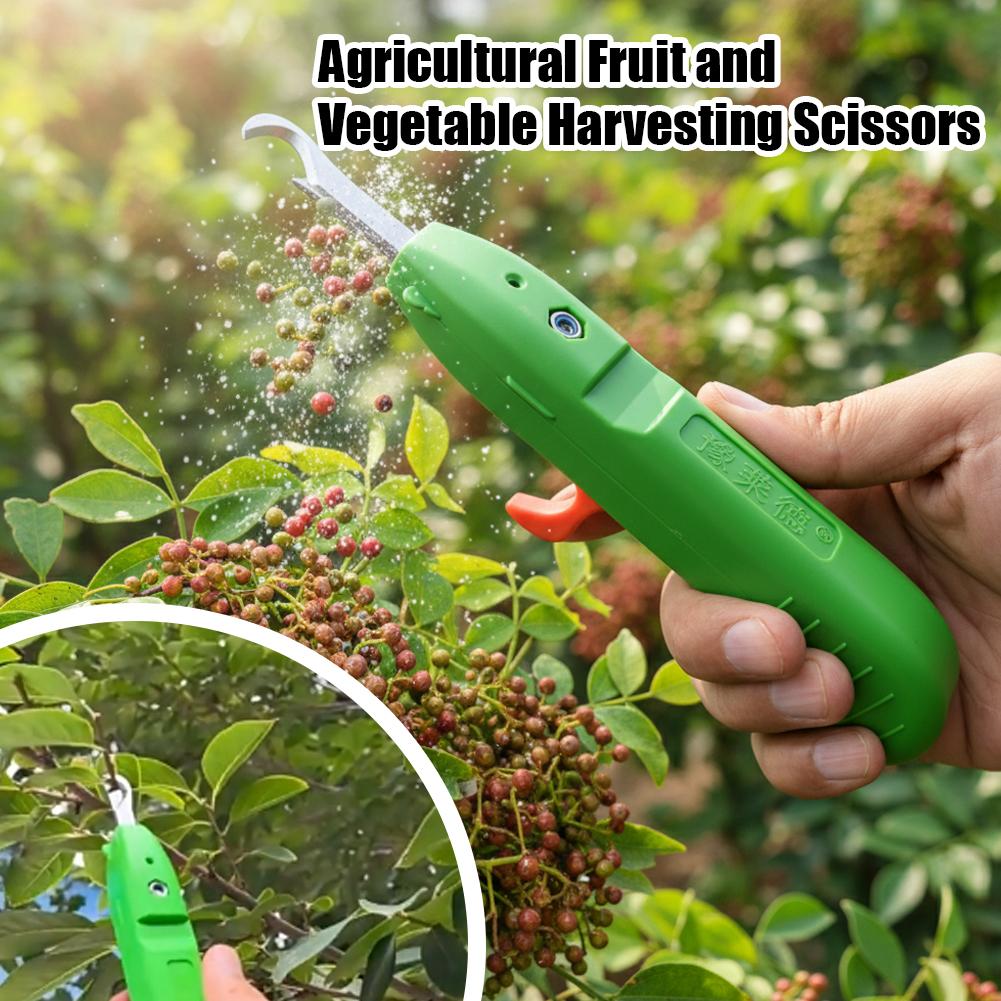 Fruit And Vegetable Picking Sh - đánh giá và giá Gardening Tools Usa