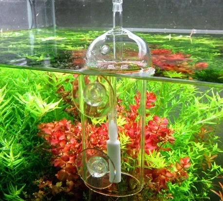 VIV Do Device Aquarium Cylinde - đánh giá và giá Aquaponics Fish Tank