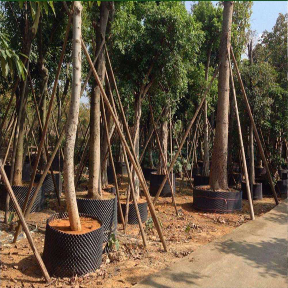 Grow Container Garden Tree Bon - đánh giá và giá Gardening Tool