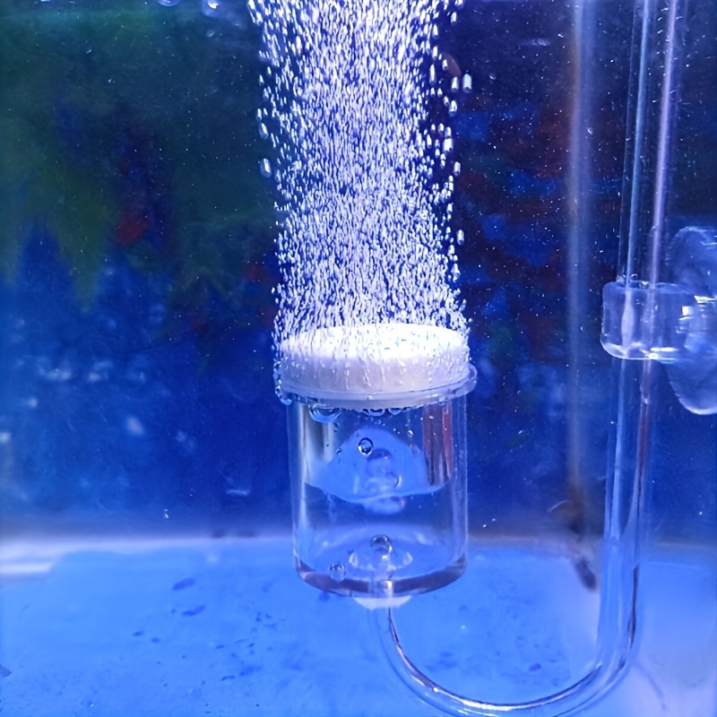 Aquarium Glass CO2 Atomizer Di - đánh giá và giá Aquaponics Fish Tank