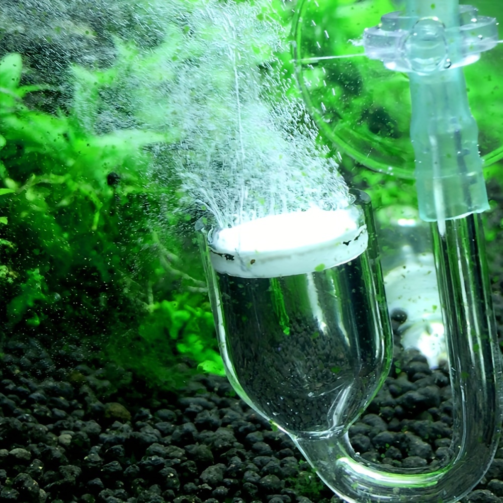 Aquarium Glass CO2 Atomizer Di - đánh giá và giá Aquaponics Fish Tank