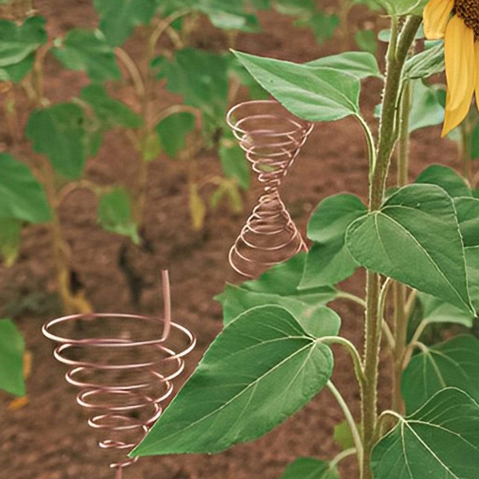 Coil Winding Jig for Electrocu - đánh giá và giá Gardening Tool Diy