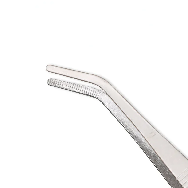 Stainless Steel Thicken Food T - đánh giá và giá Gardening Tools Long