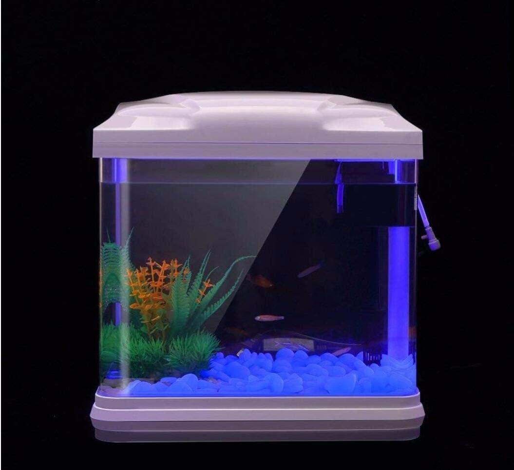 Fish Tank Rocks Glow Blue Pebb - đánh giá và giá Aquaponics Fish Tank