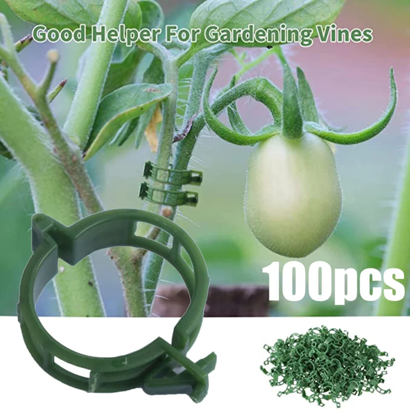 100 PCS/ Plant Support Clip Pl - đánh giá và giá Gardening Tools Usa