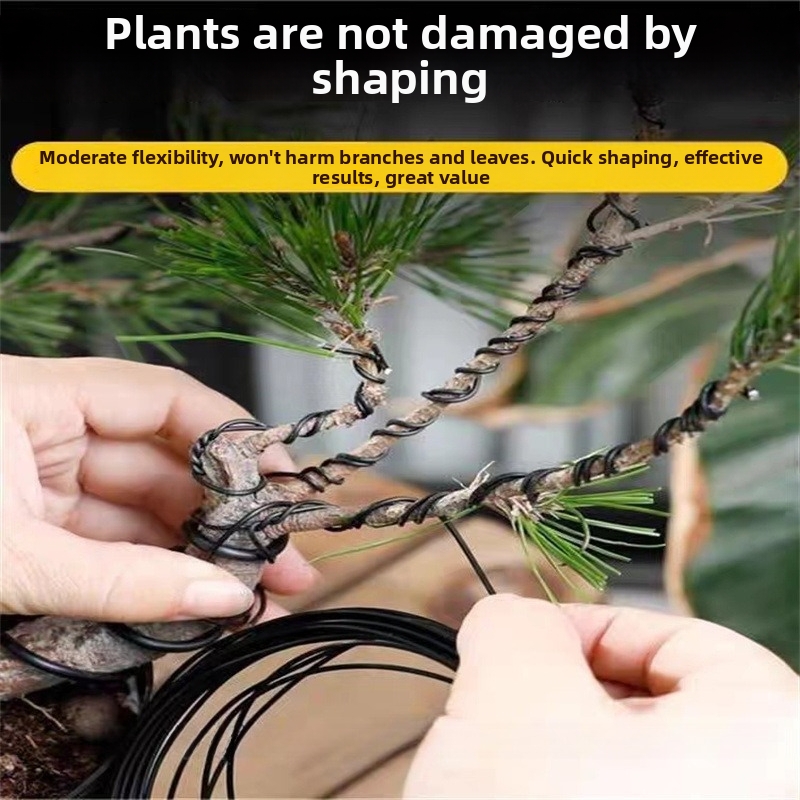1.5MM Bonsai Wires Aluminum Bo - đánh giá và giá Gardening Tool Diy