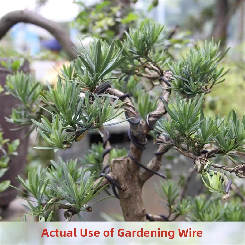 1.5MM Bonsai Wires Aluminum Bo - đánh giá và giá Gardening Tool Diy