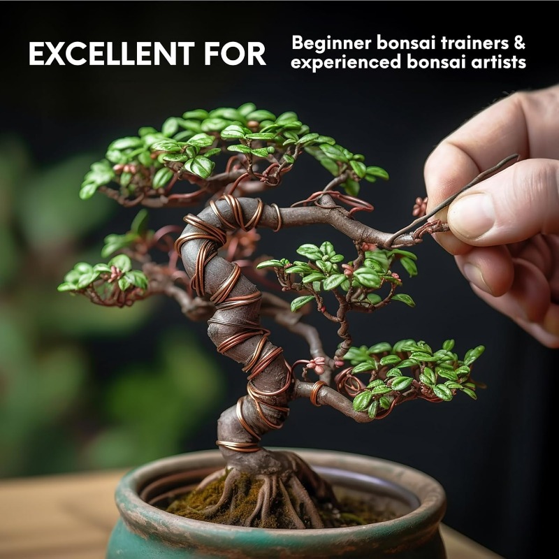 5M Bonsai Training Wire Set fo - đánh giá và giá Gardening Tool Diy
