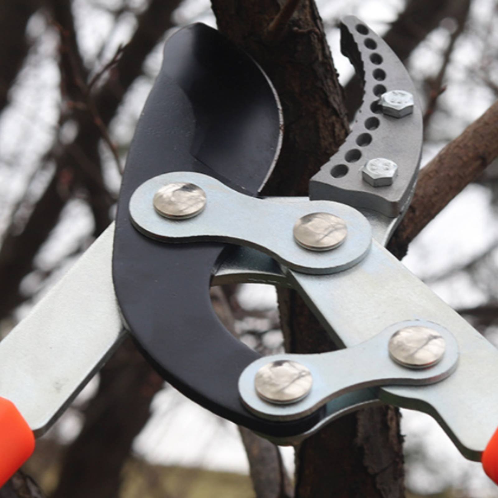 Telescopic Branch Pruners Shar - đánh giá và giá Gardening Tool