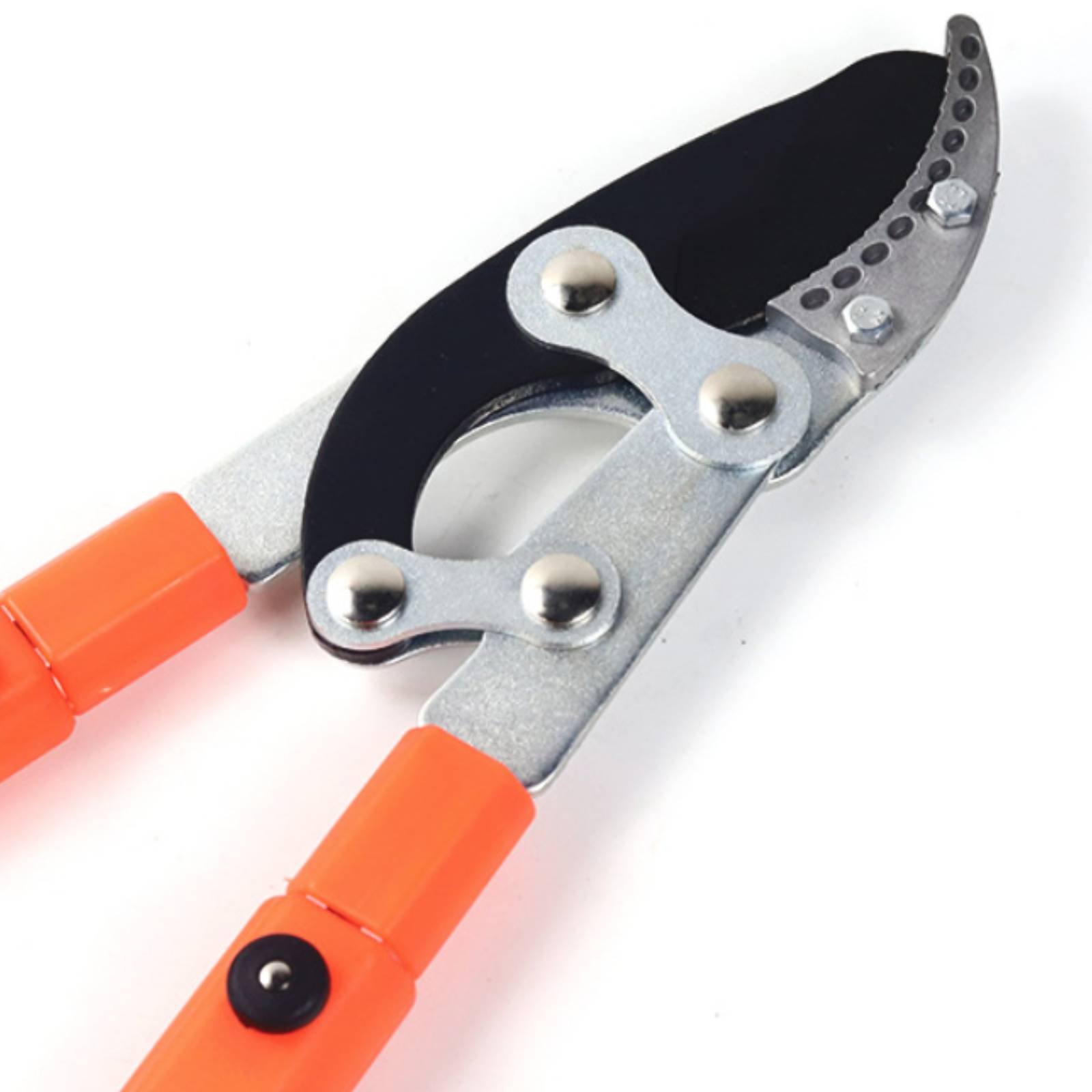Telescopic Branch Pruners Shar - đánh giá và giá Gardening Tool
