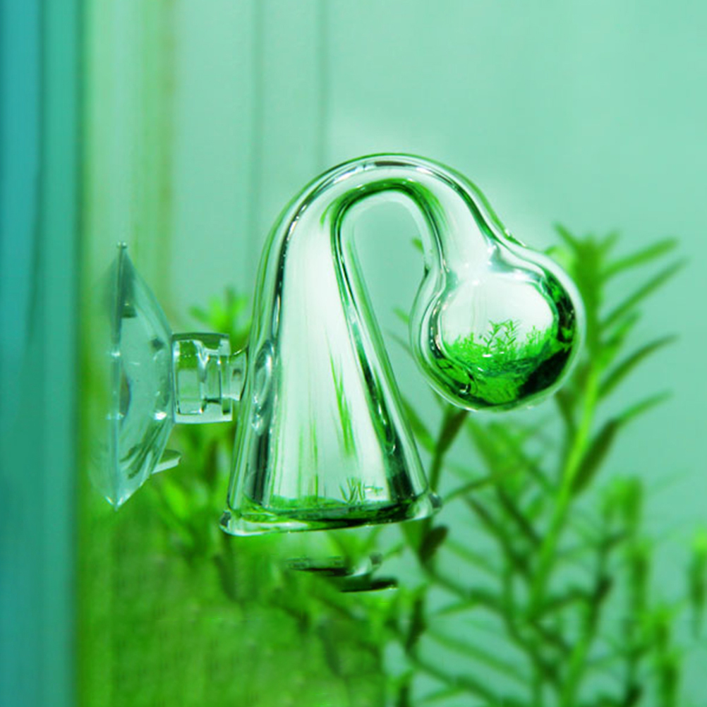 Fish Tank CO2 Diffuse Glass Dr - đánh giá và giá Aquaponics Fish Tank