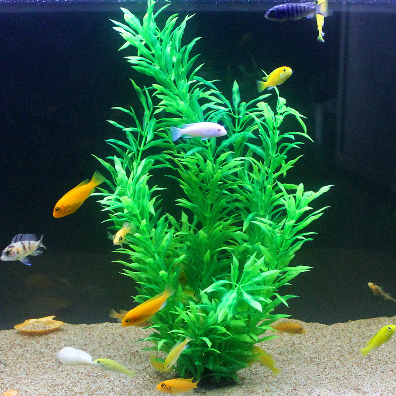 50CM Nhân Tạo Cá Thực Vật Quý  - đánh giá và giá Aquaponics Fish Tank