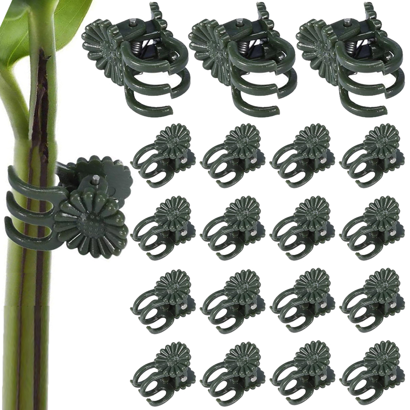 20/50/100PCS Plant Clips Vine  - đánh giá và giá Gardening Tools Usa