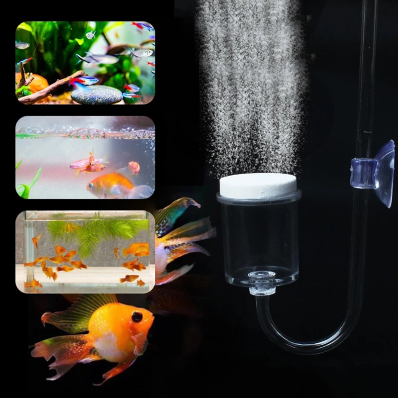 4pcs Set DIY CO2 Diffuser For  - đánh giá và giá Aquaponics Fish Tank