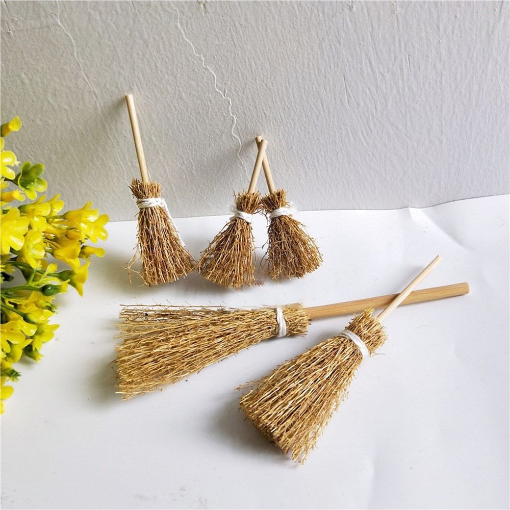 5pcs/Bag New Scene Mini Broom  - đánh giá và giá Gardening Tools Usa